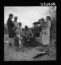 Along the highway near Bakersfield, California. Dust bowl refugees. Sourced from the Library of Congress.