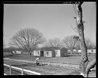 El Monte federal homesteads. One hundred occupied homes, each with nearly an acre. Average yearly income eight hundred dollars. California. Sourced from the Library of Congress.