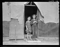 Migrant family in Kern County. This family was sent back at the state line by Los Angeles police. Refused entrance into California, and it was only after they had wired back to Arkansas to borrow fifty dollars cash to show at the border that they were permitted to enter. Sourced from the Library of Congress.