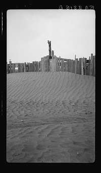 A corral practically buried by drifted dust. Mills, New Mexico. Therefore, the fertile top soil of a grazing area cannot be utilized. Sourced from the Library of Congress.