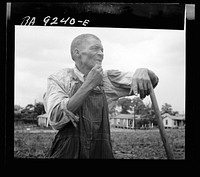Hoe culture in the South.  farmhand. Near Birmingham, Alabama. Sourced from the Library of Congress.