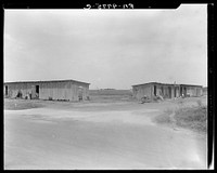 Cotton pickers camp near Robstown, Texas. Sourced from the Library of Congress.