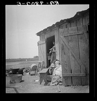 Housing for cotton pickers. South Texas. Sourced from the Library of Congress.