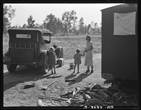 Mother of five children from Oklahoma, now picking cotton in California, near Fresno by Dorothea Lange