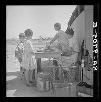 Drought refugees in Phoenix, Arizona. One of the many cases of Tennessee ex-farmers drifting around, looking for work in cotton. Sourced from the Library of Congress.