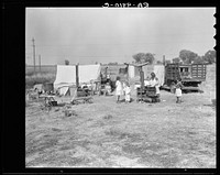 Wife and five children of migratory fruit worker. American River camp on outskirts of Sacramento, California. Have worked in the fruit since 1931. "We don't make a living, but we live on what we make". Sourced from the Library of Congress.