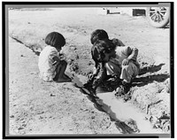 Mexican children playing in ditch which runs through company cotton camp near Corcoran, California. Sourced from the Library of Congress.