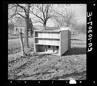 A privy overturned by the flood. Posey County, Indiana by Russell Lee