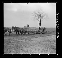 Towing flood-damaged automobile to be reconditioned. Point Township, Posey County, Indiana by Russell Lee