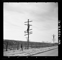 Telephone linesmen raising wires to keep them above the flood level. Near Cache, Illinois by Russell Lee