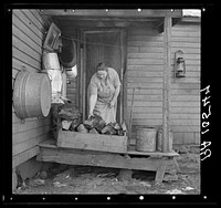 Mrs. Tip Estes, wife of a hired man and mother of nine children, bringing in fuel from the back porch. Near Fowler, Indiana by Russell Lee