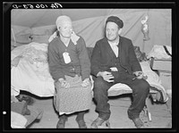 The parents of seven children. Flood refugees in Tent City, camp near Shawneetown, Illinois by Russell Lee
