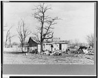 A house devastated by the flood of 1937. Shawneetown, Illinois. The flood subsided, the residents of this house have come back to clean up and live here by Russell Lee