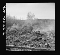 Burning brush on Sando Evanoff's farm. Iron County, Michigan. This is one of the processes in cleaning cut-over land by Russell Lee