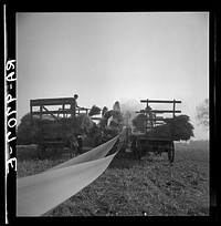 [Untitled photo, possibly related to: The threshing of oats. Clayton, Indiana, south of Indianapolis]. Sourced from the Library of Congress.