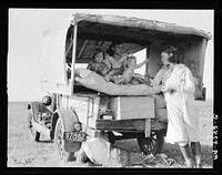 [Untitled photo, possibly related to: Family between Dallas and Austin, Texas. The people have left their home and connections in South Texas, and hope to reach the Arkansas Delta for work in the cotton fields. Penniless people. No food and three gallons of gas in the tank. The father is trying to repair a tire. Three children. Father says, "It's tough but life's tough anyway you take it"]. Sourced from the Library of Congress.