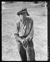 Calipatria (vicinity), California. Native of Indiana in a migratory labor contractor's camp. "It's root hog or die for us folks" by Dorothea Lange