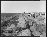 Forty families of drought and depression refugees camped by the roadside beside an irrigated pea field. A freeze which destroyed the pea crop threw practically every family in this camp on emergency relief. Nine miles from Calipatria, California. Sourced from the Library of Congress.