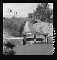 Irrigation ditch along the road. Imperial Valley, California. Sourced from the Library of Congress.