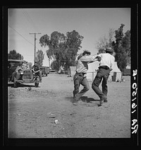 Recreation in a migratory agricultural workers' camp near Holtville, California by Dorothea Lange