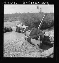 Irrigation ditch alongside the road. Imperial Valley, California. Sourced from the Library of Congress.