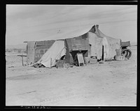 Home of a dust bowl refugee in California. Imperial County. Sourced from the Library of Congress.