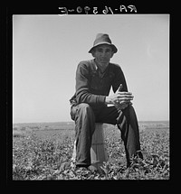 Strawberry grower from Oklahoma near Judsonia forced to join the migratory workers in California for the season because the 1936 drought caused a shortage of plants. Sourced from the Library of Congress.