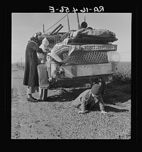 Tracy (vicinity), California. U.S. Highway 99. Missouri family of five, seven months from the drought area.. Sourced from the Library of Congress.