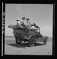 Migratory family traveling across the desert in search of work in the cotton at Roswell, New Mexico. U.S. Route 70, Arizona by Dorothea Lange