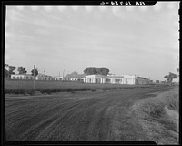 [Untitled photo, possibly related to: View of Resettlement Administration's part-time farms. Glendale, Arizona]. Sourced from the Library of Congress.