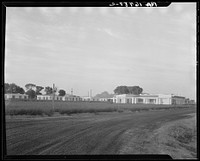 [Untitled photo, possibly related to: View of Resettlement Administration's part-time farms. Glendale, Arizona]. Sourced from the Library of Congress.
