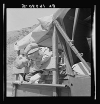 Drought refugee children on U.S. 99 near Bakersfield, California. Sourced from the Library of Congress.