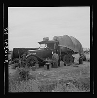 [Untitled photo, possibly related to: Potato picker in camp near Shafter, California]. Sourced from the Library of Congress.
