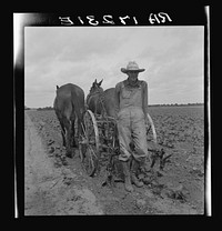 Ex-tenant farmer, now a day laborer on large cotton farm near Corsicana, Texas. Sourced from the Library of Congress.