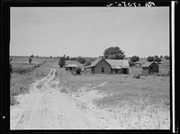 Worn-out land and abandoned cabins near Newport, Oklahoma. Sourced from the Library of Congress.