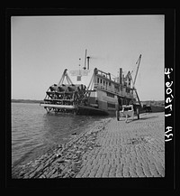 Stern wheeler pulled up to the municipal levee at Greenville, Mississippi. Sourced from the Library of Congress.