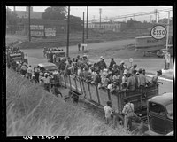 Cotton hoers loading at Memphis, Tennessee for the day's work in Arkansas. Sourced from the Library of Congress.