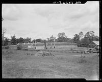 Lumber mill in the piney woods, showing dry stacking. Texas. Sourced from the Library of Congress.