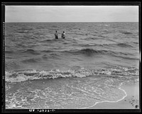 Net fishing on the Gulf of Mexico. Pass Christian, Mississippi. Sourced from the Library of Congress.