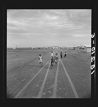 Farm Security Administration Casa Grande project, Arizona. Large-scale corporate farming by sixty-two families who divide profits. Children in this group came from eight different states by Dorothea Lange