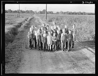 Ten families have been established by the Farm Security Administration (FSA) on the Mineral King Cooperative Farm, an old ranch of 500 acres, which they will operate as a farm unit, raising cotton, alfalfa, and dairy products for cash crops. Tulare County, California by Dorothea Lange