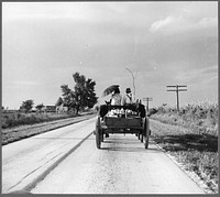 Southeast Missouri. Horse and wagon is still a common means of transportation by Dorothea Lange