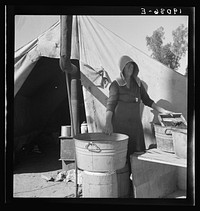 [Untitled photo, possibly related to: Texas woman in carrot pullers' camp. Imperial Valley, California. This sunbonnet is typical of women who came from Texas]. Sourced from the Library of Congress.