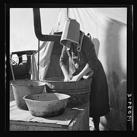 [Untitled photo, possibly related to: Texas woman in carrot pullers' camp. Imperial Valley, California. This sunbonnet is typical of women who came from Texas] by Dorothea Lange