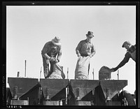 Loading bins of potato planter with fertilizer and seed from trailer at edge of field. Kern County, California by Dorothea Lange