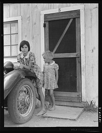 Greenfield, Salinas Valley, California. An Arkansawyers auto camp filled almost completely with migrants from Arkansas. Rent ten dollars a month for one room, iron bed, electricity. Rough board walls with cracks. This community is subject of a study by BAE Regional Office, Berkeley, California. Sourced from the Library of Congress.