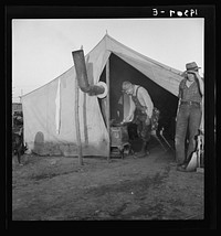[Untitled photo, possibly related to: In a carrot pullers' camp near Holtville, California]. Sourced from the Library of Congress.