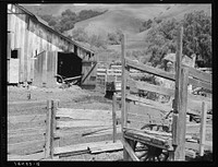 Farmyard of small Italian farmer. Santa Clara County, California. Sourced from the Library of Congress.