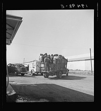 Labor contractor's truck with gang of pea pickers, pulled up for gas. Near Westley, California. Sourced from the Library of Congress.