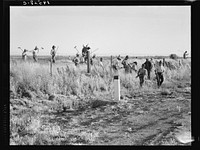 [Untitled photo, possibly related to: Near Los Banos, California. Migratory agricultural workers, cotton hoers. Leave field at the end of the day. Wages twenty cents per hour]. Sourced from the Library of Congress.